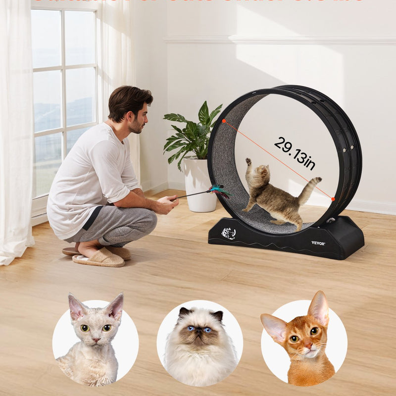 VEVOR Kaķu trenažieris ar skrejriteni, 80 cm, iekštelpām