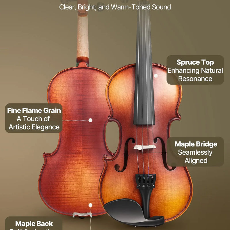 VEVOR 4/4 vijole, 355 mm pilna izmēra komplekts no masīvkoka, iesācējiem, matēti brūna ar ornamentētu rakstu