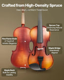 VEVOR 4/4 vijole, 355 mm pilna izmēra komplekts no masīvkoka, iesācējiem, matēti brūna ar ornamentētu rakstu