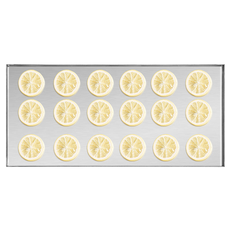 VEVOR vakuuma saldēšanas iekārta - 4 līmeņu augļu un dārzeņu saldēšanas žāvēšanas mašīna, balta