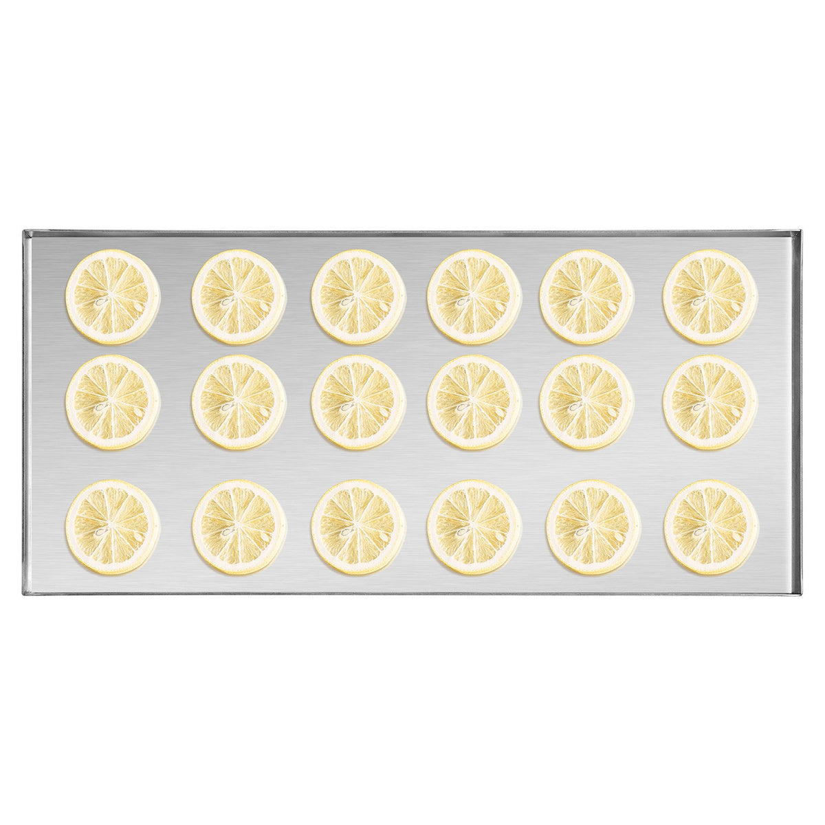 VEVOR Vacuum Freeze Dryer, 4-Tier Fruit and Vegetable Freeze Dryer, White