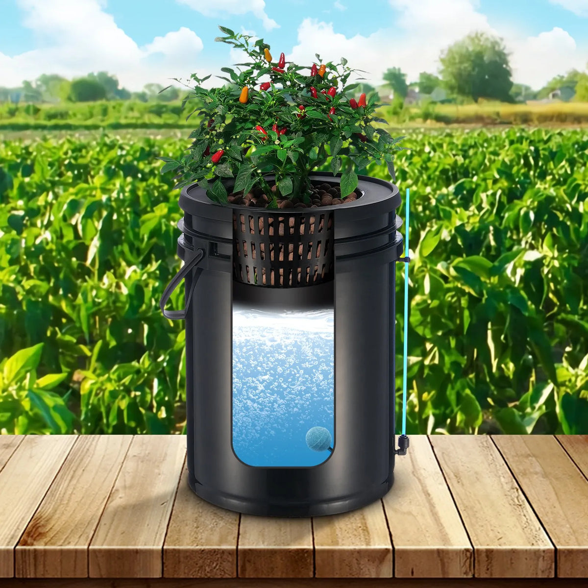 DWC Hydroponic Growing System with Deep Water Culture and Top Drip Feeding, 2 Tanks