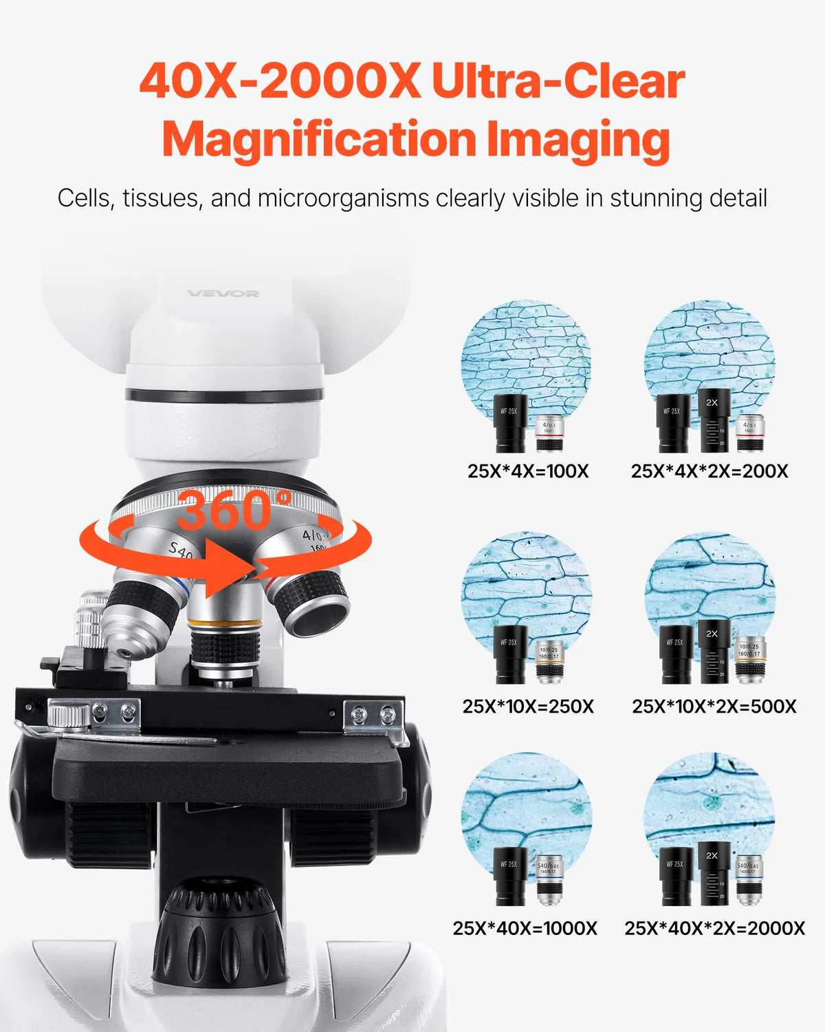 VEVOR Binocular Microscope for Adults with 40–2000× Magnification, Professional Compound Microscope Kit with LED Illumination and Phone Holder, Aluminium Alloy Body, Suitable for Laboratories, Schools and Home Use