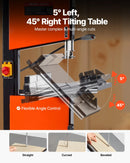 VEVOR lentzāģis kokapstrādei, 254 mm, galda tipa divu ātrumu lentzāģis ar 373 W (0,5 ZS) motoru, maks. griešanas augstums 160 mm, 335 × 340 mm čuguna galds, 360° darba apgaismojums, leņķmērs un paralēlā atdure