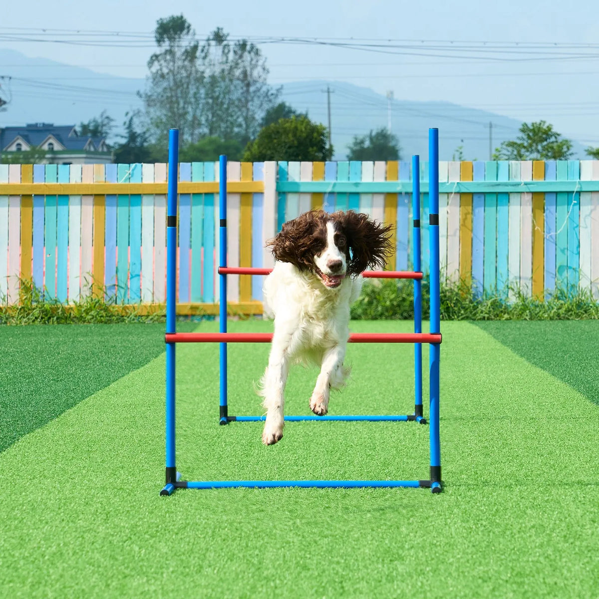VEVOR suņu veiklības (agility) treniņu komplekts, 7 daļas – šķēršļi un tuneļi