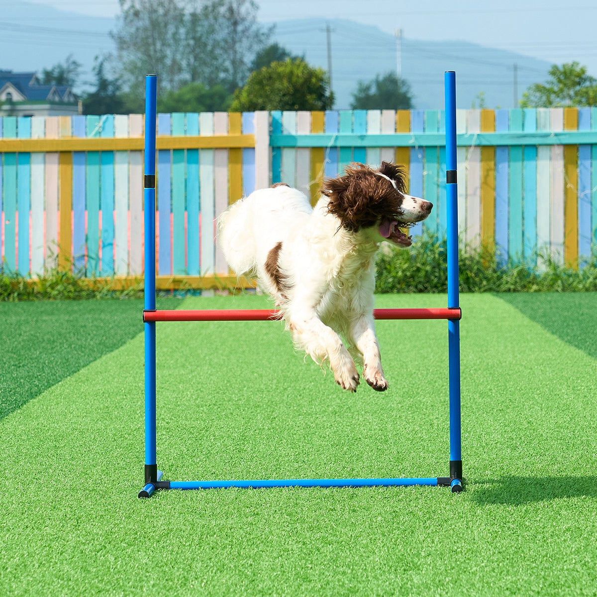VEVOR koerte agility treeningkomplekt, 4 osa – tõkked, hüpperõngas, pausiala
