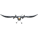 VEVOR RC lidmašīna, 2,4 GHz 2 kanālu tālvadības lidaparāts ar 6 asu žiroskopu, gatava lidojumam ērgļa tipa RC planieris ar 2 akumulatoriem iesācējiem un bērniem