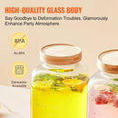 VEVOR dzērienu dozators, 3,8 L stikla dzērienu trauks ar statīvu un nerūsējošā tērauda krānu, piemērots tējai, limonādei, sulai un ūdenim — restorāniem, viesnīcām un pasākumiem