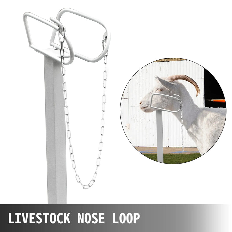 VEVOR lopkopības kopšanas stends 130 × 58 cm ar taisno galvas fiksatoru, metāla stends kazu un aitu cirpšanai un apkopei