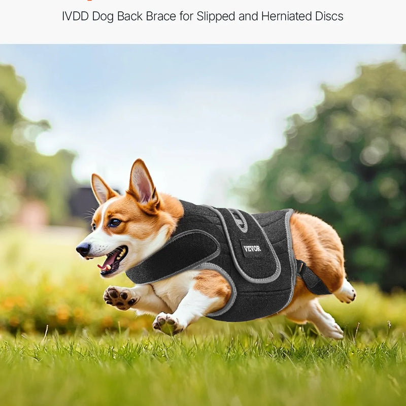 VEVOR suņu muguras balsts IVDD atbalstam, ortopēdisks regulējams muguras korsetes balsts ar atstarojošu apdari, mugurkaula atbalsts sāpju mazināšanai un pirms/pēcoperācijas aprūpei