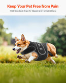 VEVOR suņu muguras balsts IVDD atbalstam, ortopēdisks regulējams muguras korsetes balsts ar atstarojošu apdari, mugurkaula atbalsts sāpju mazināšanai un pirms/pēcoperācijas aprūpei