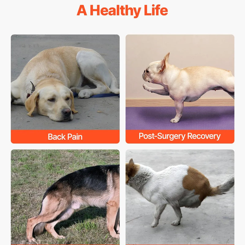 VEVOR suņu muguras balsts IVDD atbalstam, ortopēdisks regulējams muguras korsetes balsts ar atstarojošu apdari, mugurkaula atbalsts sāpju mazināšanai un pirms/pēcoperācijas aprūpei