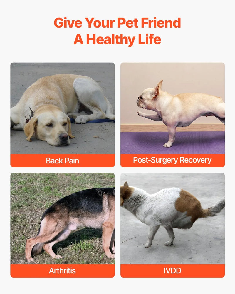 VEVOR suņu muguras balsts IVDD atbalstam, ortopēdisks regulējams muguras korsetes balsts ar atstarojošu apdari, mugurkaula atbalsts sāpju mazināšanai un pirms/pēcoperācijas aprūpei