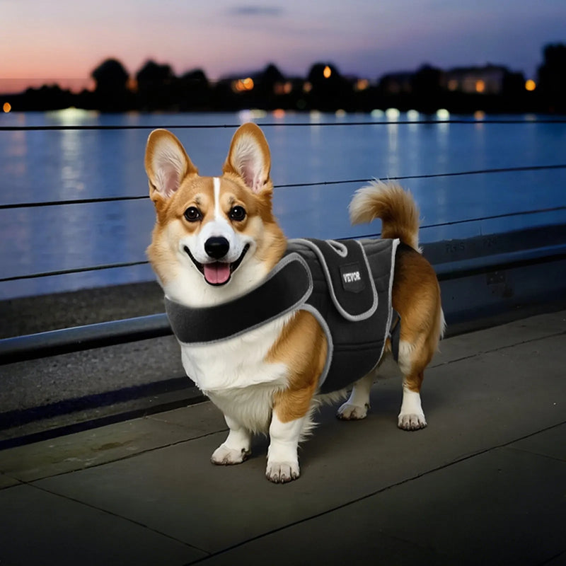 VEVOR suņu muguras balsts IVDD atbalstam, ortopēdisks regulējams muguras korsetes balsts ar atstarojošu apdari, mugurkaula atbalsts sāpju mazināšanai un pirms/pēcoperācijas aprūpei