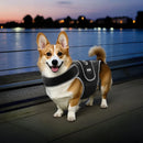 VEVOR suņu muguras balsts IVDD atbalstam, ortopēdisks regulējams muguras korsetes balsts ar atstarojošu apdari, mugurkaula atbalsts sāpju mazināšanai un pirms/pēcoperācijas aprūpei