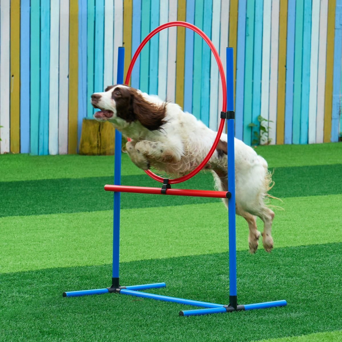 VEVOR suņu veiklības (agility) treniņu komplekts, 5 daļas – šķēršļi, slaloms, tunelis, riņķis, pauzes laukums, ar 2 somām