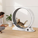 Kaķu treniņrats ar pedometru, 103,6 cm, ar bremzi un paklājētu skrejceļu, kluss skrejritenis telpām kaķiem līdz 13,6 kg, balts