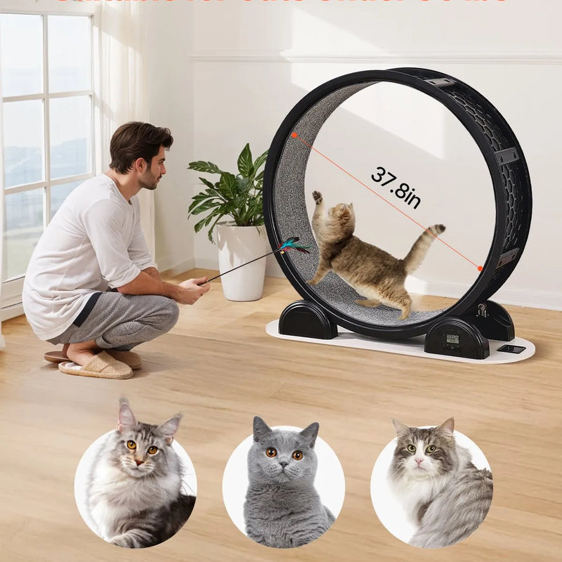 VEVOR kaķu skriešanas ritenis ar pedometru, bremzi un paklājotu skriešanas virsmu, 104 cm kluss trenažieris telpām kaķiem līdz 13,6 kg, melns