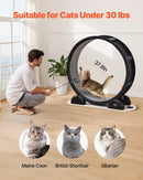 VEVOR kaķu skriešanas ritenis ar pedometru, bremzi un paklājotu skriešanas virsmu, 104 cm kluss trenažieris telpām kaķiem līdz 13,6 kg, melns