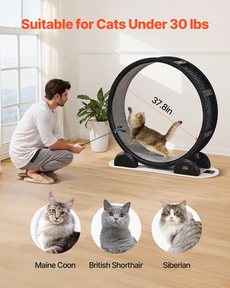 VEVOR kaķu skriešanas ritenis ar pedometru, bremzi un paklājotu skriešanas virsmu, 104 cm kluss trenažieris telpām kaķiem līdz 13,6 kg, melns