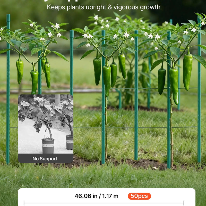 VEVOR dārza balsti augiem, 50 gab., 1170 mm, ar plastmasu pārklāti metāla tomātu balsti ar smailu galu un neslīdošiem izciļņiem kāpelējošu augu un dārzeņu atbalstam āra apstākļos