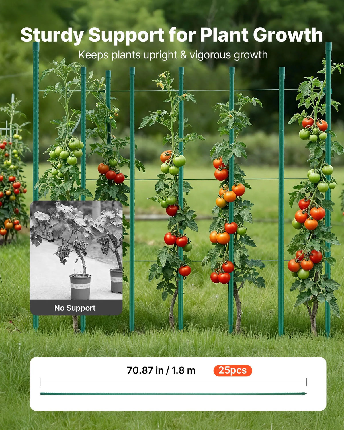 VEVOR Garden Support Stakes for Plants, 25 Pieces, 1800 mm, Plastic-Coated Metal Tomato Stakes with Sharp Ends and Non-Slip Clips for Supporting Climbing Plants and Vegetables Outdoors