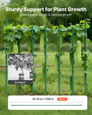 VEVOR dārza balsta mieti augiem, 15 gab., 1705 mm, plastmasas pārklājuma metāla tomātu mieti ar smailu galu un neslīdošiem izciļņiem kāpelējošu augu un dārzeņu balstīšanai ārā