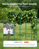 VEVOR dārza balsta mieti augiem, 25 gab., 2100 mm, plastmasas pārklājuma metāla tomātu mieti ar smailu galu un neslīdošiem izciļņiem kāpelējošu augu un dārzeņu balstīšanai ārā