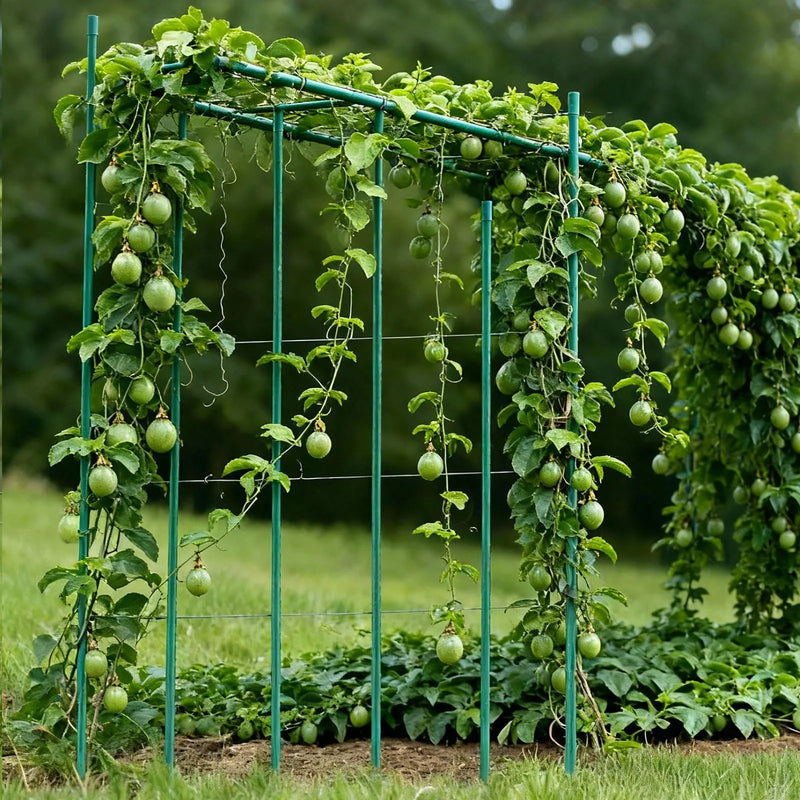 VEVOR dārza balsta mieti augiem, 25 gab., 2100 mm, plastmasas pārklājuma metāla tomātu mieti ar smailu galu un neslīdošiem izciļņiem kāpelējošu augu un dārzeņu balstīšanai ārā