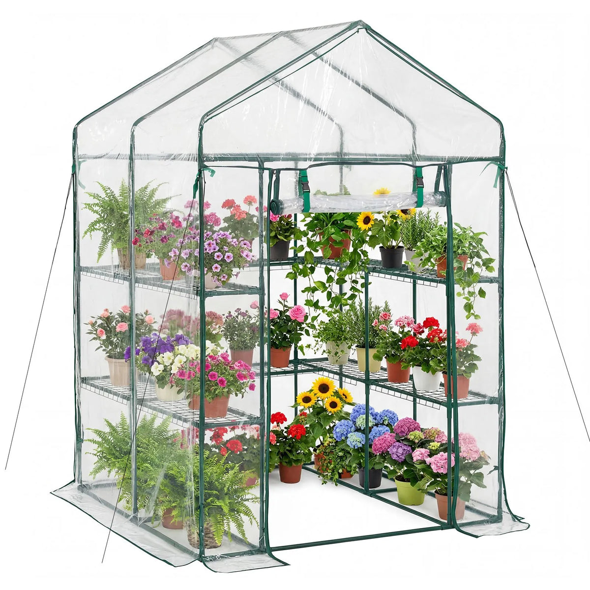 VEVOR ieejama siltumnīca 137 x 137 x 196 cm ar PVC pārklājumu, 2 līmeņi ar 10 plauktiem, rullējamas durvis ar rāvējslēdzēju, pārnēsājama dārza siltumnīca augiem, āra lietošanai - ZEMLETES.LV