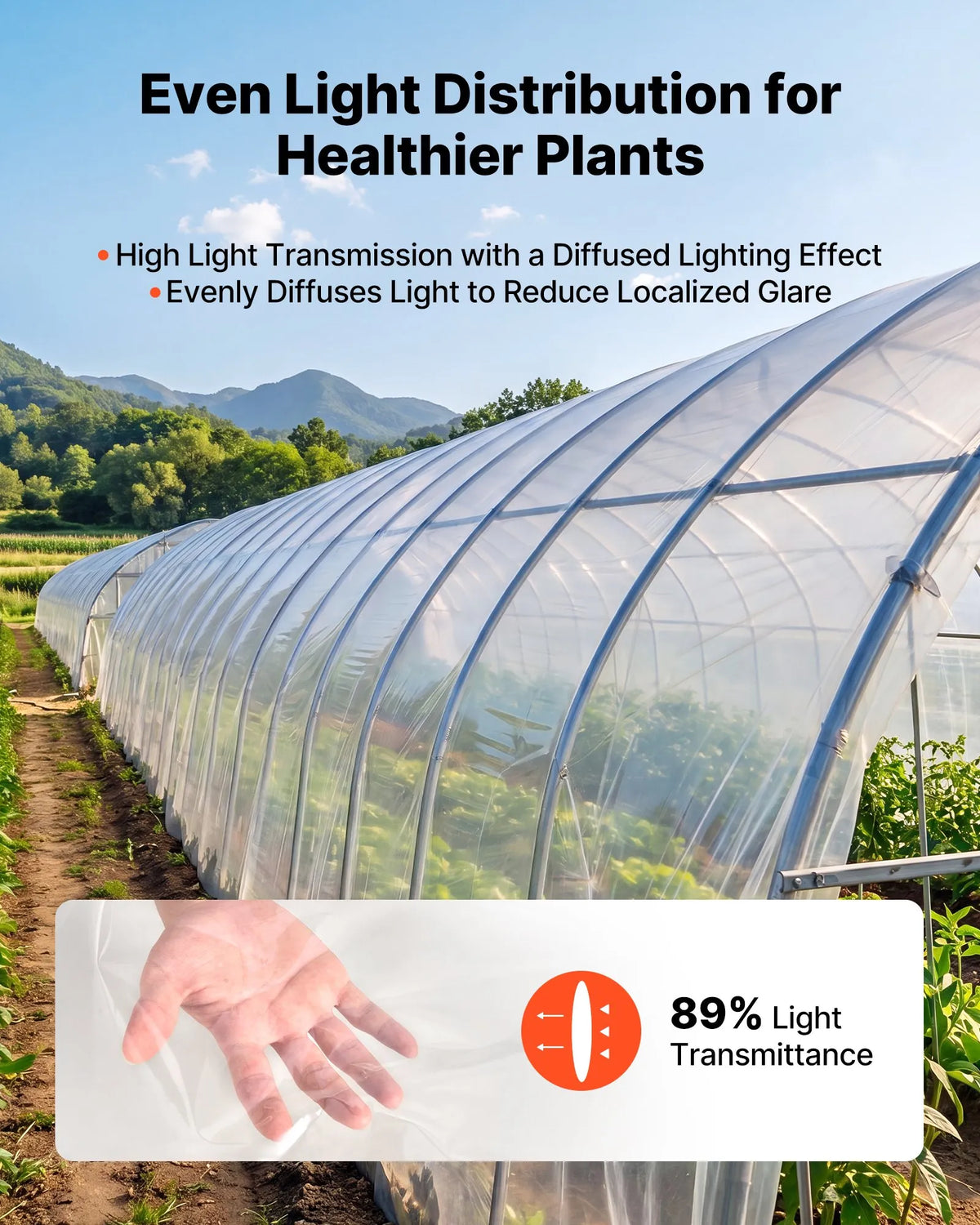 VEVOR YFGH-24ft100ft Greenhouse Film, 7.3 × 30.5 m, 5 mil, Clear PE Film, 89% Light Transmission, UV, Rain, Frost, Wind and Dust Resistant