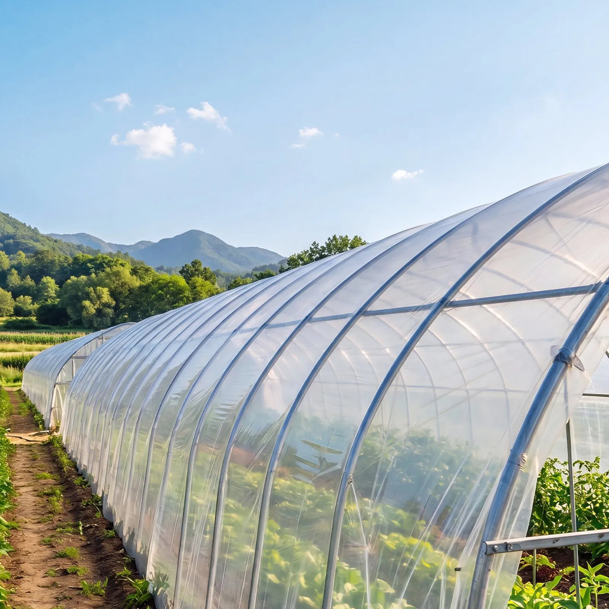 VEVOR YFGH-24ft100ft Greenhouse Film, 7.3 × 30.5 m, 5 mil, Clear PE Film, 89% Light Transmission, UV, Rain, Frost, Wind and Dust Resistant