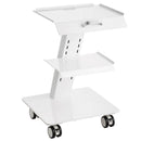VEVOR 3 līmeņu laboratorijas ratiņi ar grozāmiem riteņiem, metāla mobilie ratiņi ar paplātēm, kravnesība 100 kg, laboratorijām, klīnikām un skaistumkopšanas saloniem